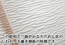 荗hi񂵁j